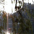 ../photo-video/images/2002-bled/2002bled-castlethroughtree-thumb.JPG
